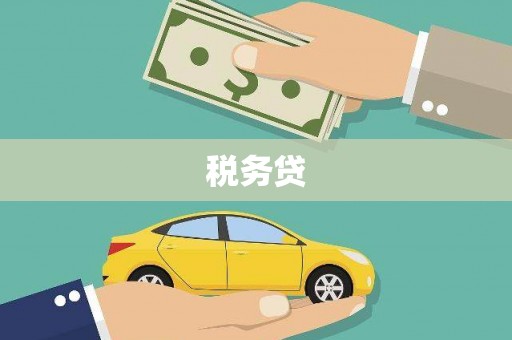 景东税务贷
