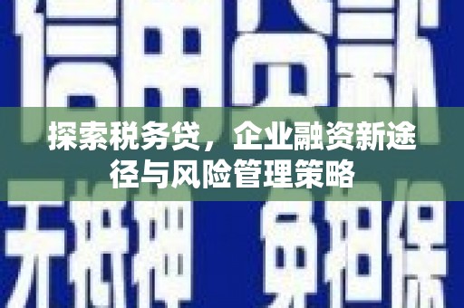 景东探索税务贷，企业融资新途径与风险管理策略