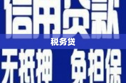 景东税务贷