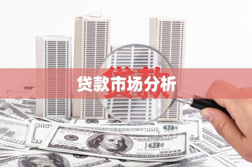景东贷款市场分析