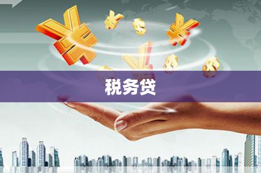 景东税务贷