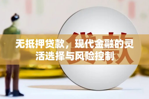 景东无抵押贷款，现代金融的灵活选择与风险控制