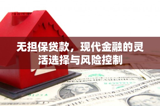 景东无担保贷款，现代金融的灵活选择与风险控制