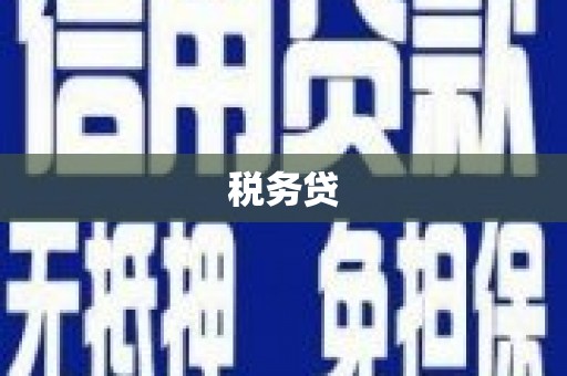 景东税务贷