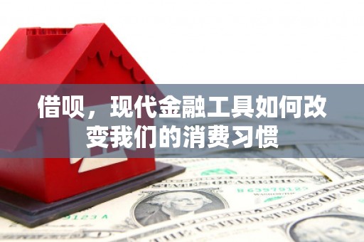 景东借呗，现代金融工具如何改变我们的消费习惯