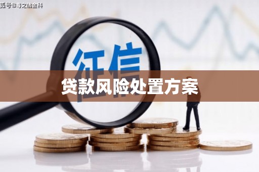 景东贷款风险处置方案
