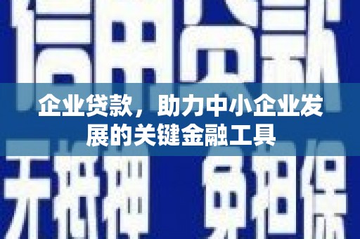 景东企业贷款，助力中小企业发展的关键金融工具