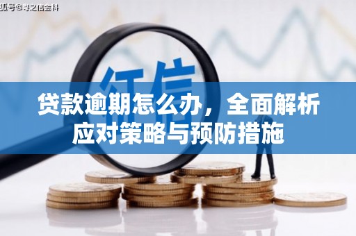 景东贷款逾期怎么办，全面解析应对策略与预防措施