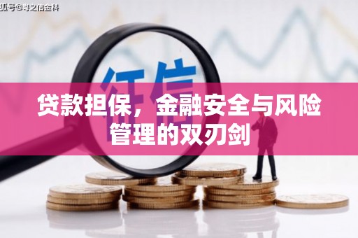 景东贷款担保，金融安全与风险管理的双刃剑