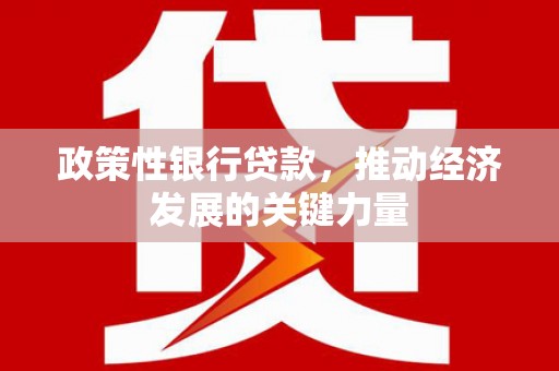 景东政策性银行贷款，推动经济发展的关键力量