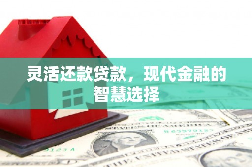 景东灵活还款贷款，现代金融的智慧选择