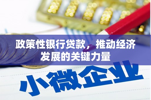 景东政策性银行贷款，推动经济发展的关键力量
