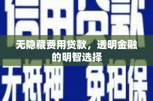 景东无隐藏费用贷款，透明金融的明智选择