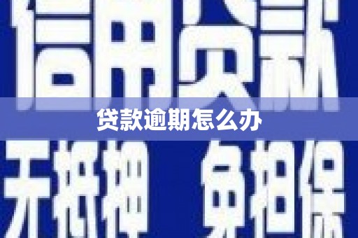 景东贷款逾期怎么办