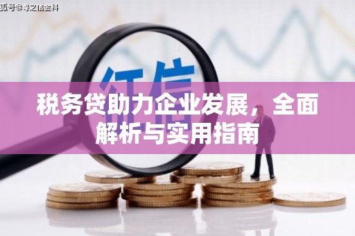 景东税务贷助力企业发展，全面解析与实用指南