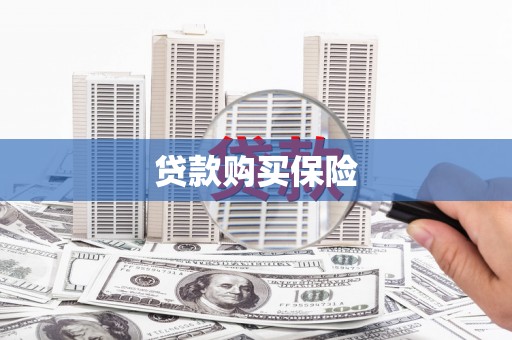 景东贷款购买保险