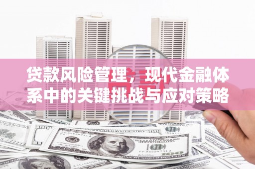 景东贷款风险管理，现代金融体系中的关键挑战与应对策略
