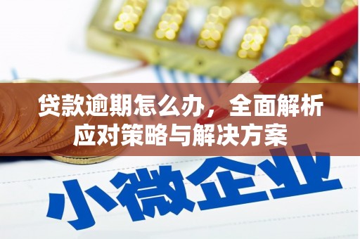 景东贷款逾期怎么办，全面解析应对策略与解决方案